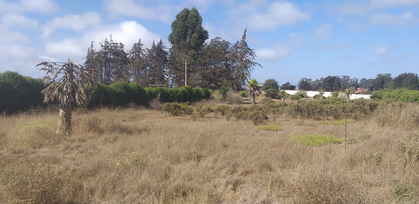 Terreno en venta en Santo Domingo — foto 7