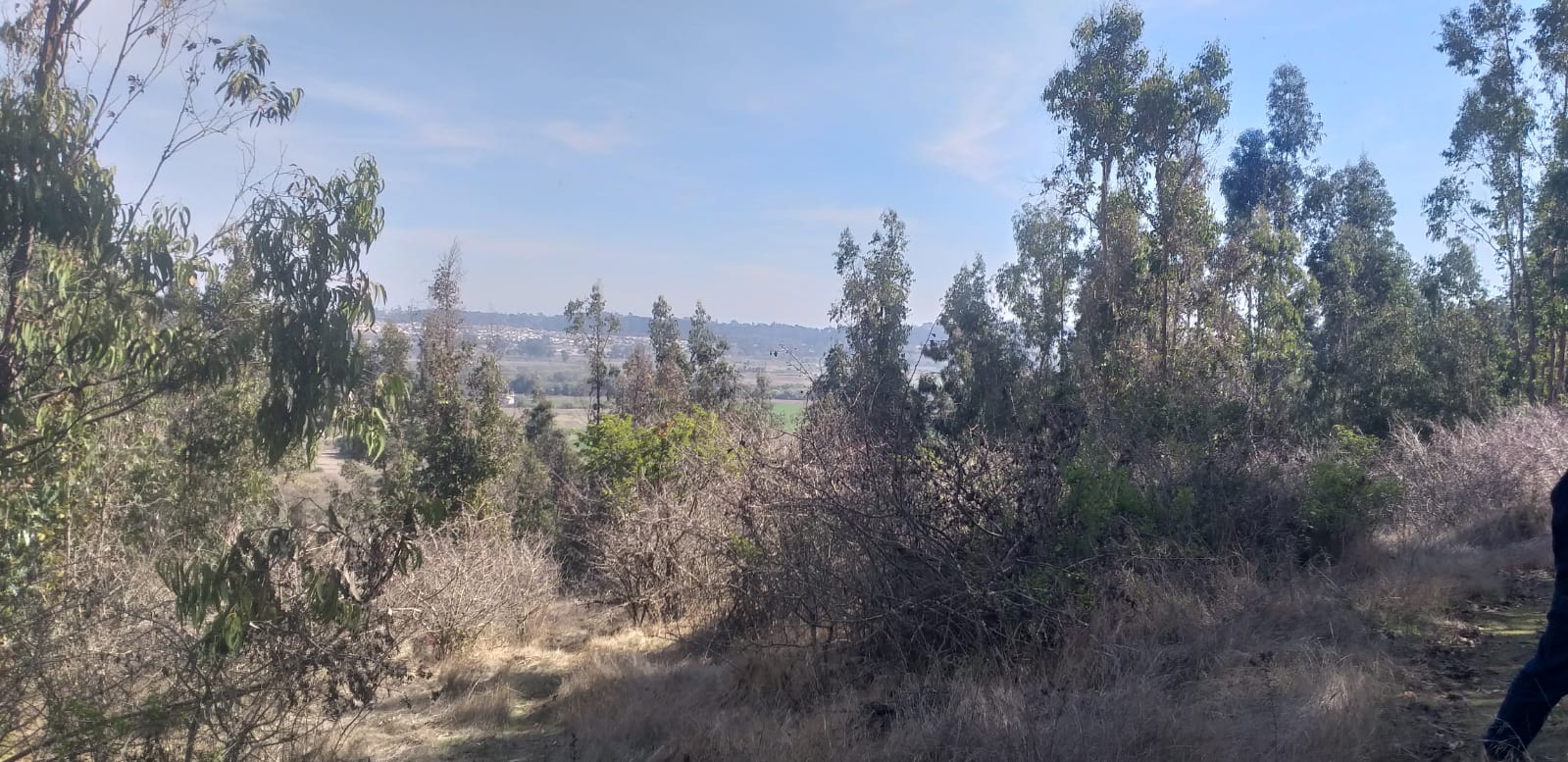 Terreno en venta en San Antonio — foto 5