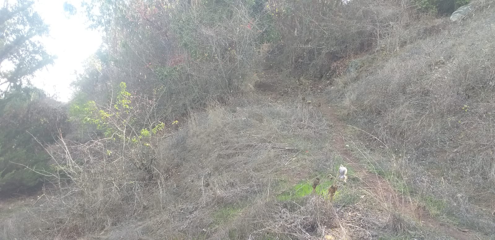 Terreno en venta en San Antonio — foto 6