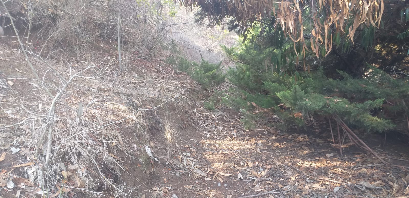 Terreno en venta en San Antonio — foto 7