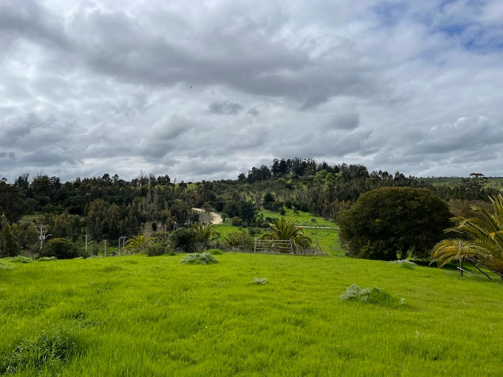 Parcela en venta en Santo Domingo — foto 2