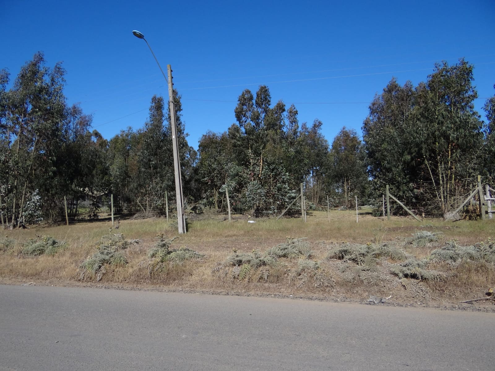 Terreno en venta en San Antonio — foto 7