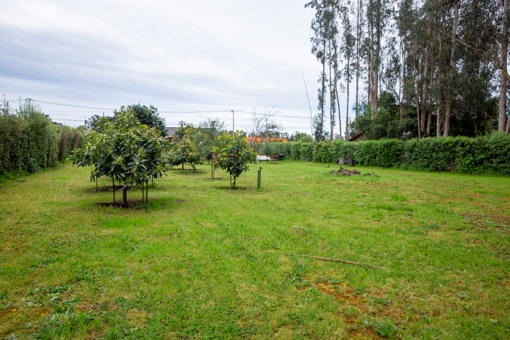 Casa en venta en Santo Domingo — foto 10