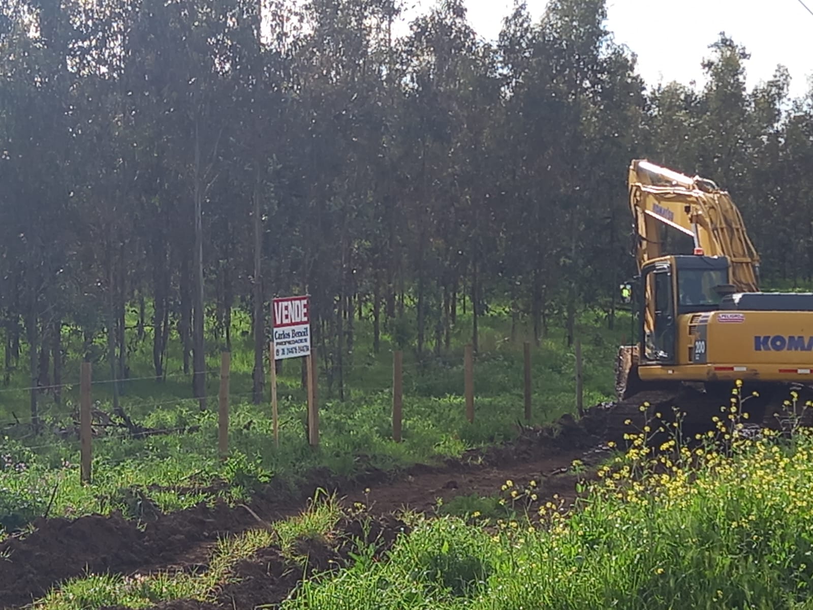 Terreno en venta en Santo Domingo — foto 3