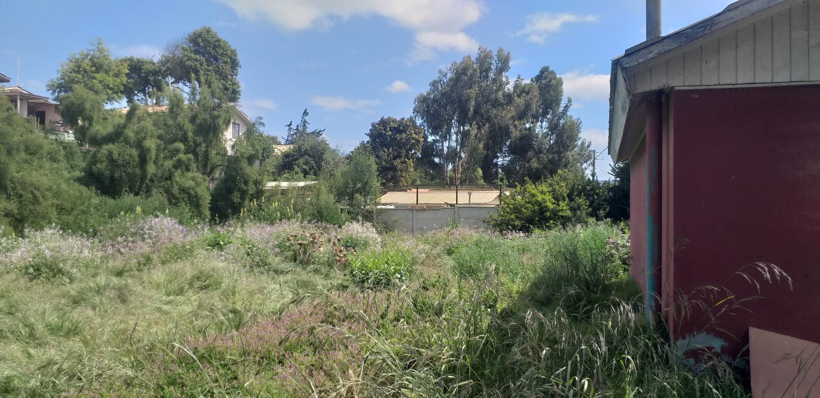 Local comercial en venta en El Tabo — foto 1