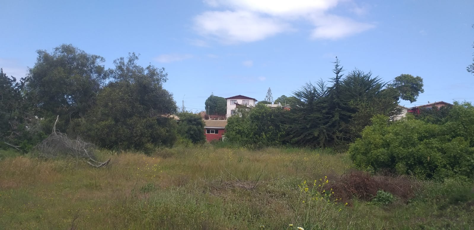 Local comercial en venta en El Tabo — foto 2