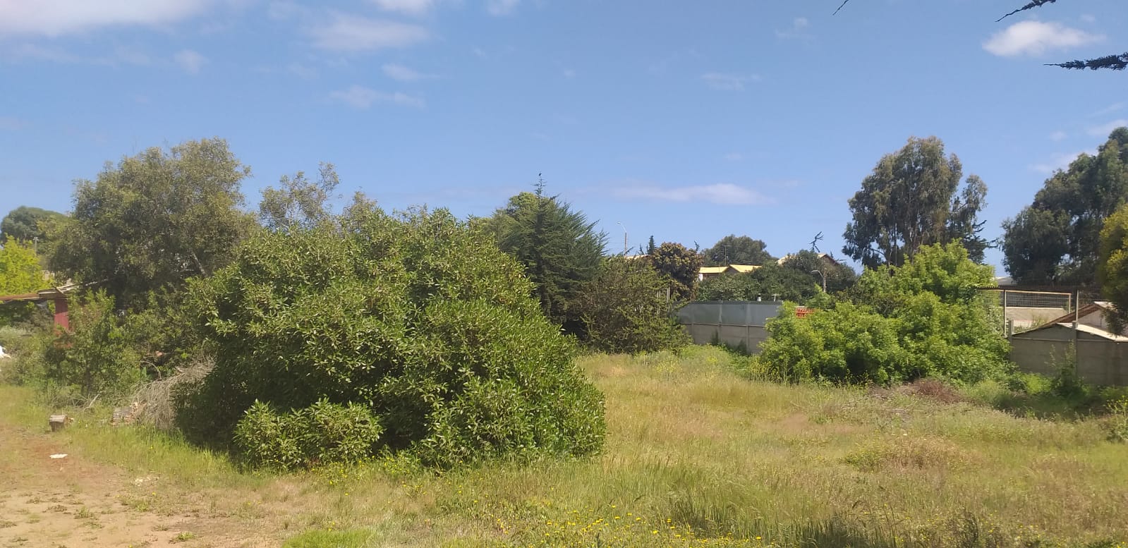 Local comercial en venta en El Tabo — foto 4