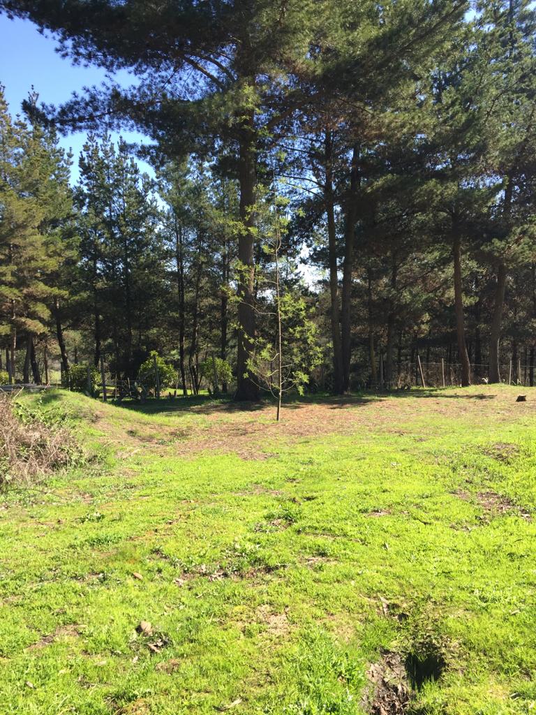 Terreno en venta en San Antonio — foto 4