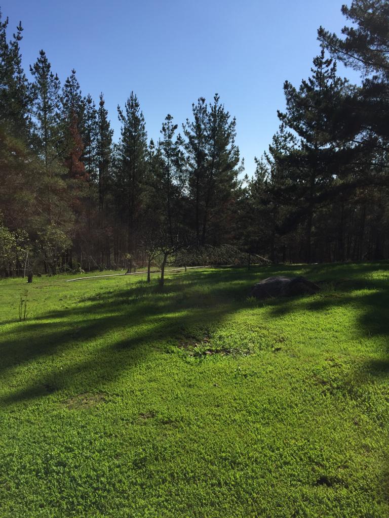 Terreno en venta en San Antonio — foto 5