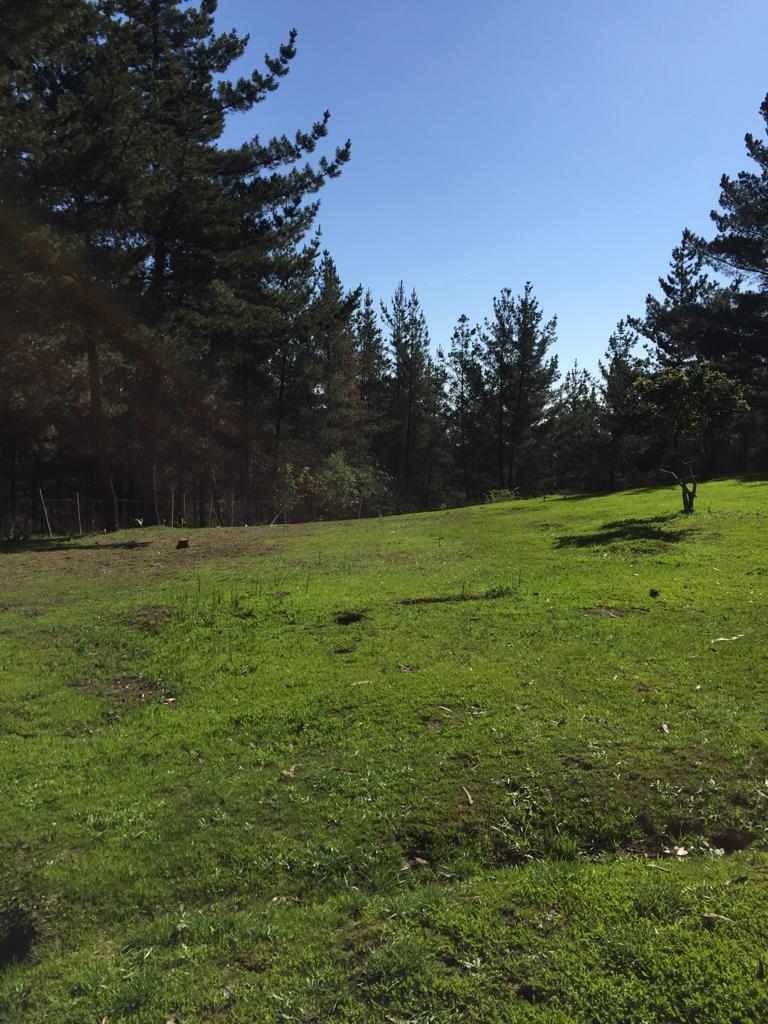 Terreno en venta en San Antonio — foto 7