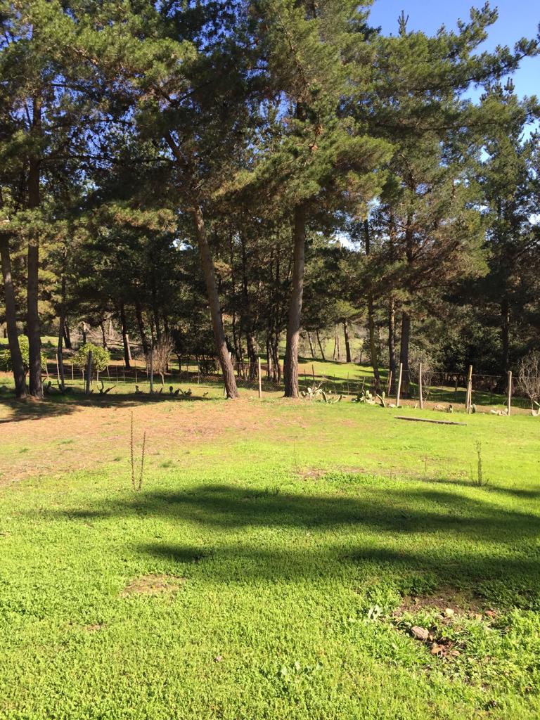 Terreno en venta en San Antonio — foto 8