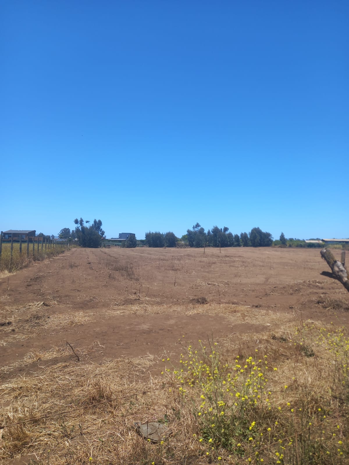 Terreno en venta en Santo Domingo — foto 3