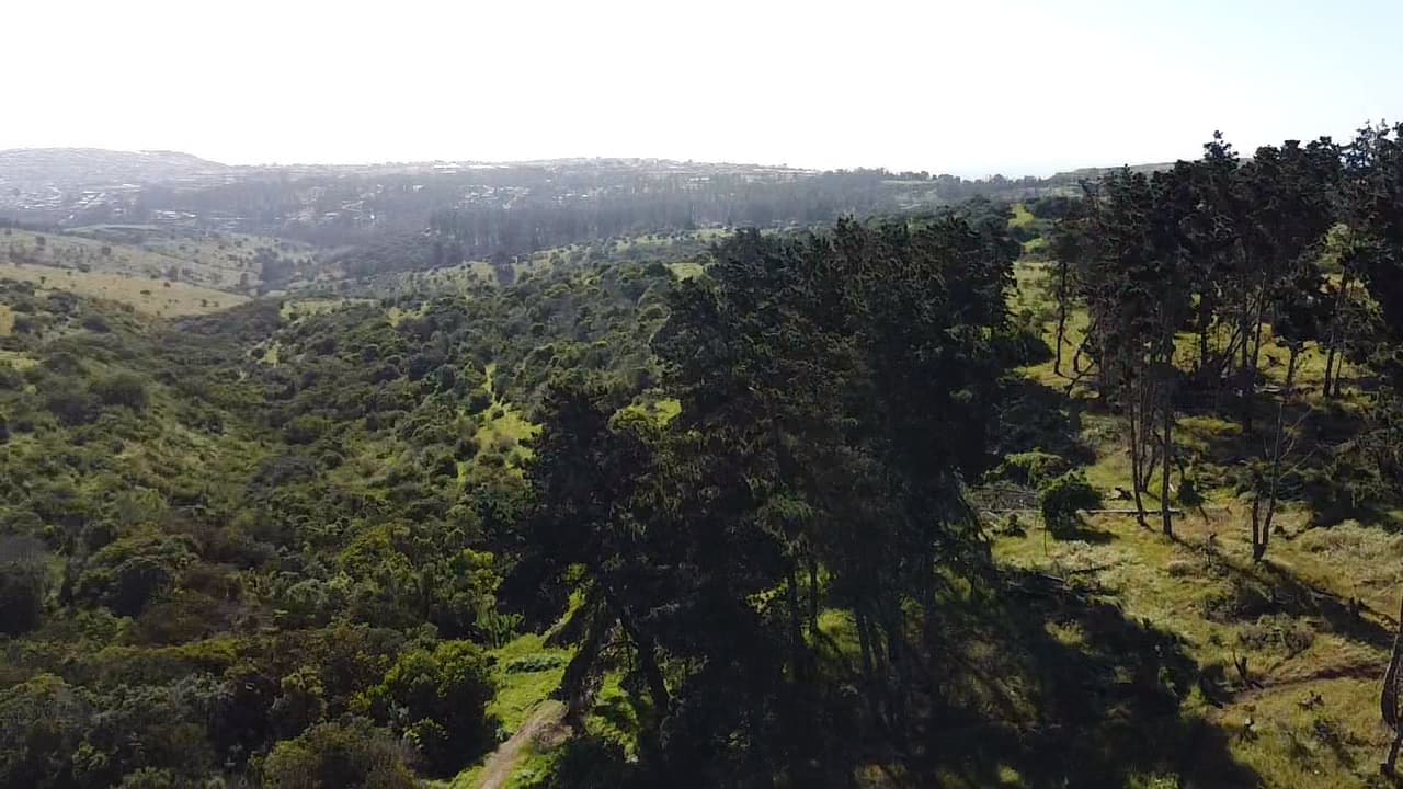 Terreno en venta en San Antonio — foto 1