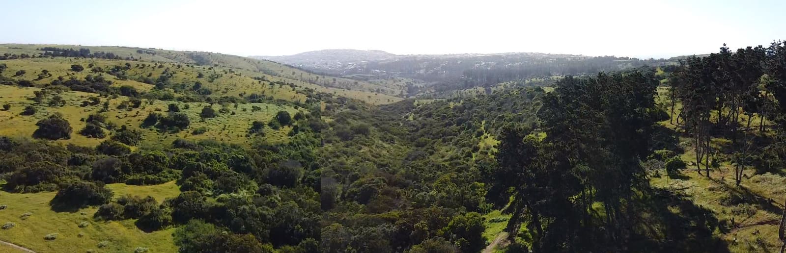 Terreno en venta en San Antonio — foto 2