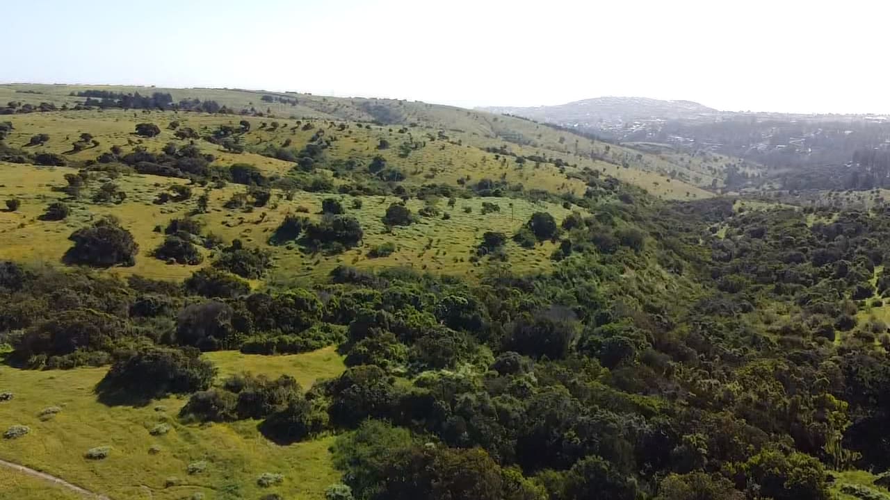 Terreno en venta en San Antonio — foto 4