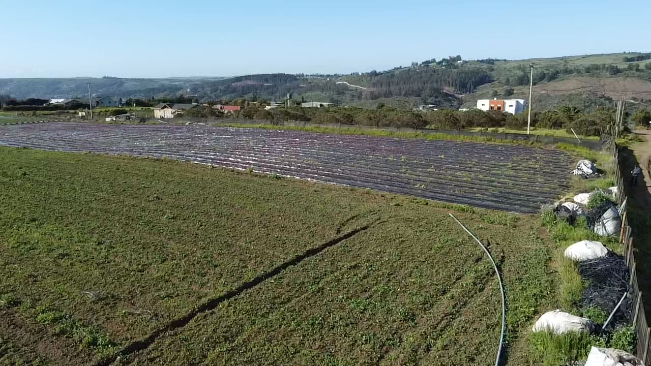 Terreno en venta en Santo Domingo — foto 2