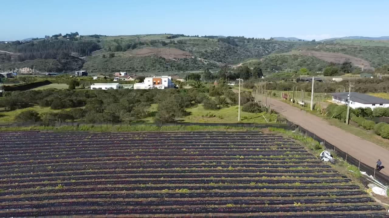 Terreno en venta en Santo Domingo — foto 6