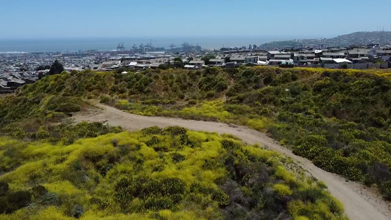 Terreno en venta en San Antonio — foto 7