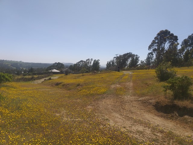 Terreno en venta en San Antonio — foto 3