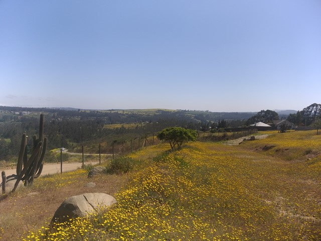 Terreno en venta en San Antonio — foto 4