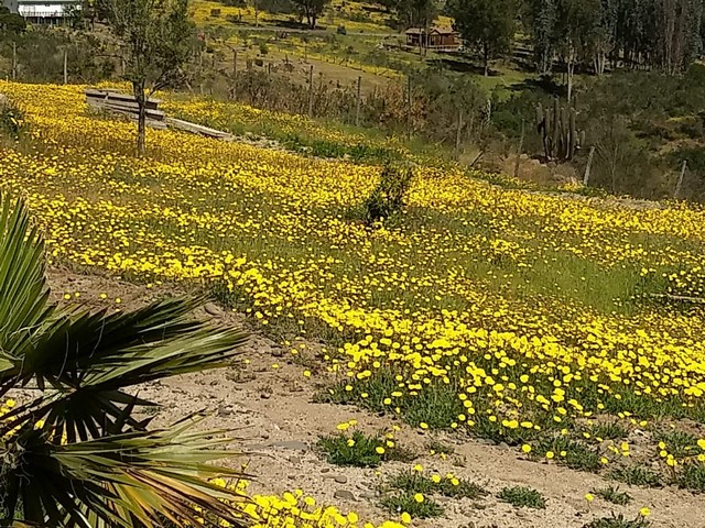 Terreno en venta en San Antonio — foto 6