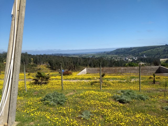 Terreno en venta en San Antonio — foto 7