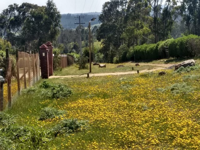 Terreno en venta en San Antonio — foto 10