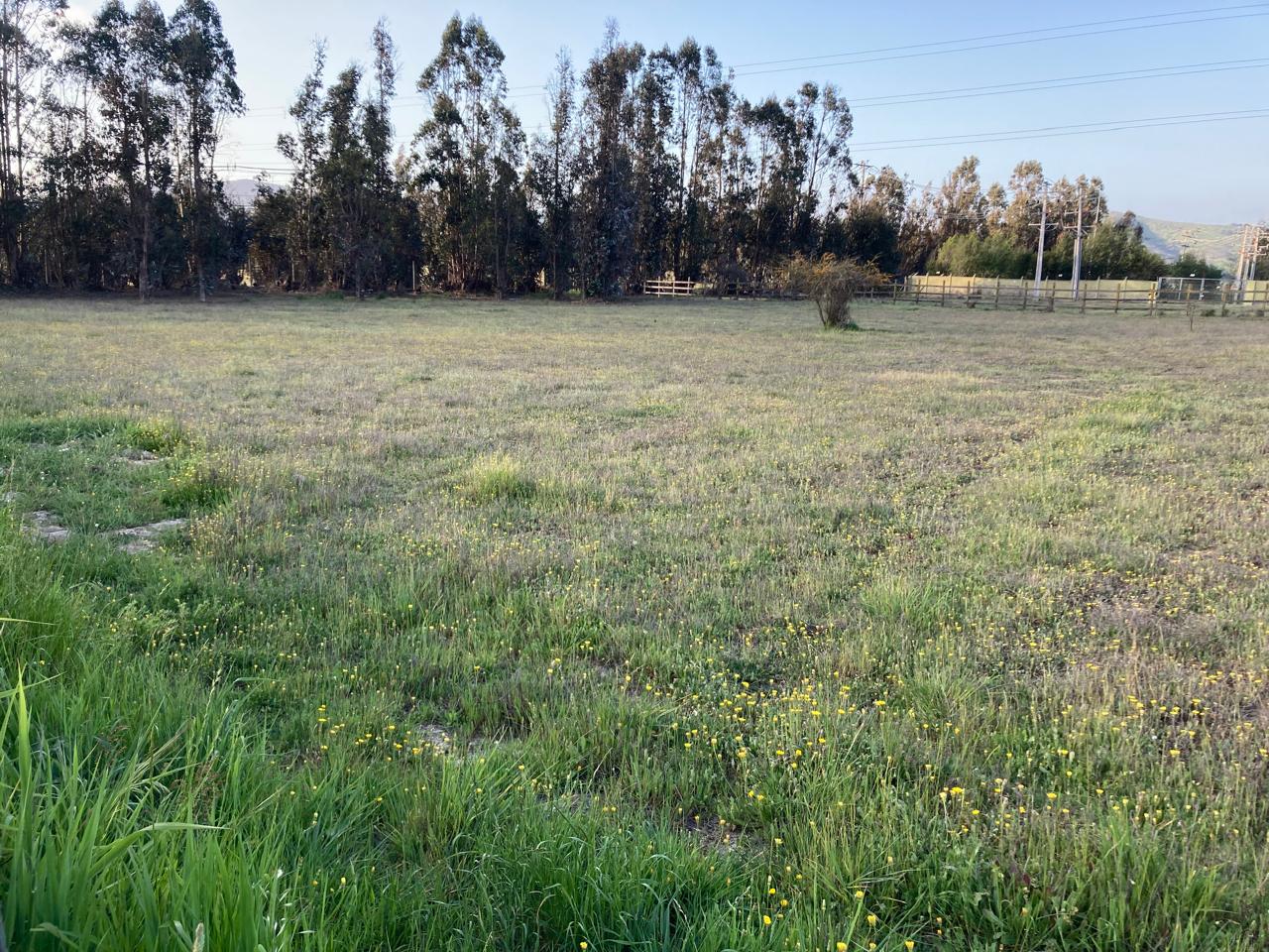 Parcela en venta en San Antonio — foto 2