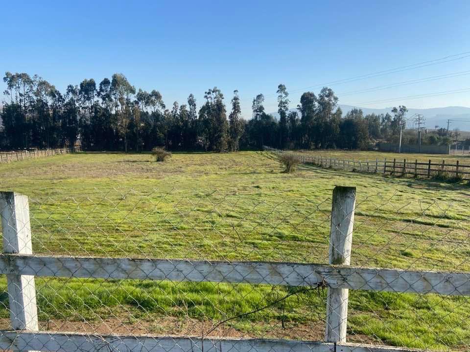 Parcela en venta en San Antonio — foto 5