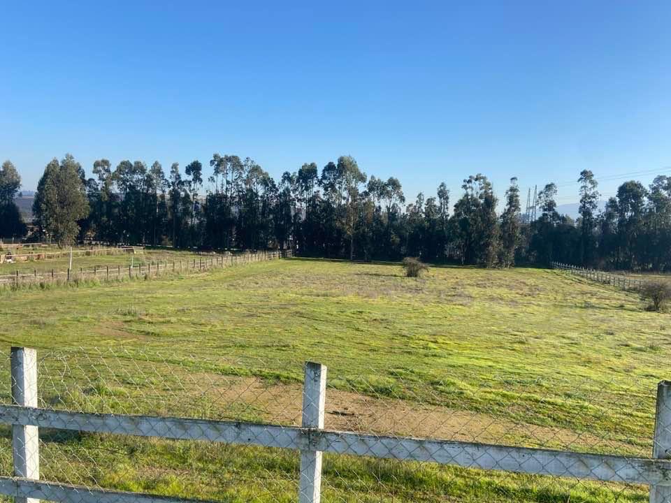 Parcela en venta en San Antonio — foto 6