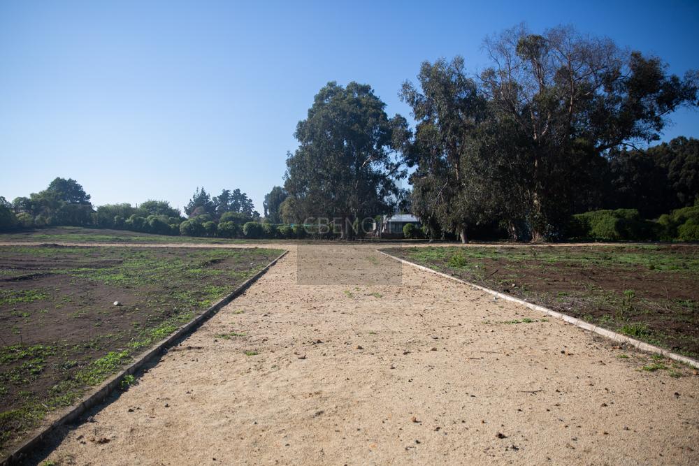 Terreno en venta en Santo Domingo — foto 5