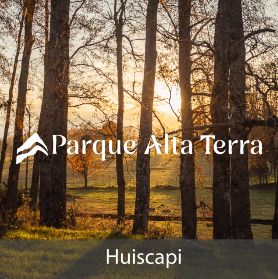 Parcela en venta en Villarrica — foto 1