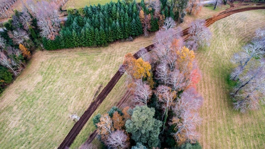 Parcela en venta en Villarrica — foto 5