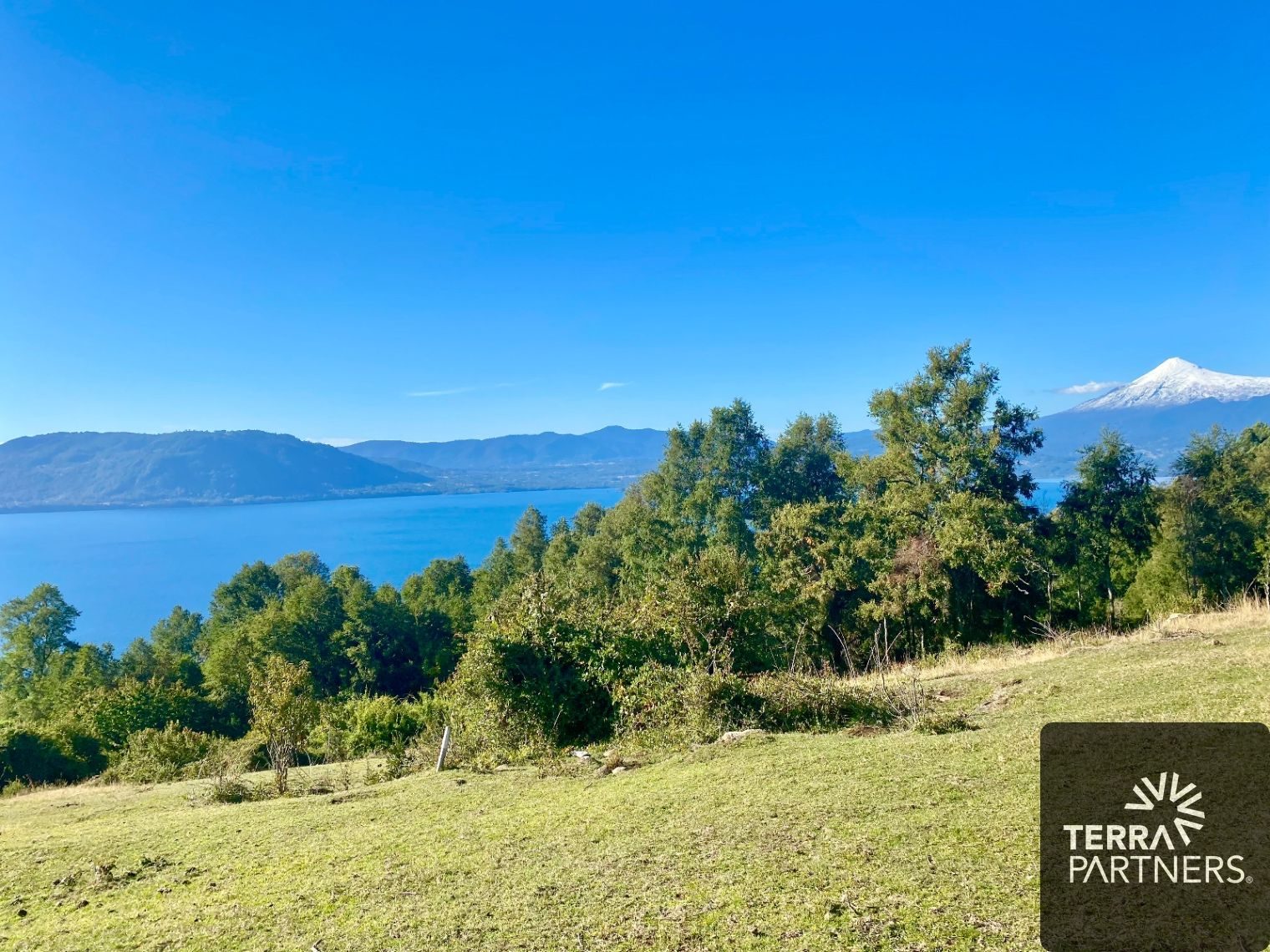 Parcela en venta en Panguipulli — foto 2
