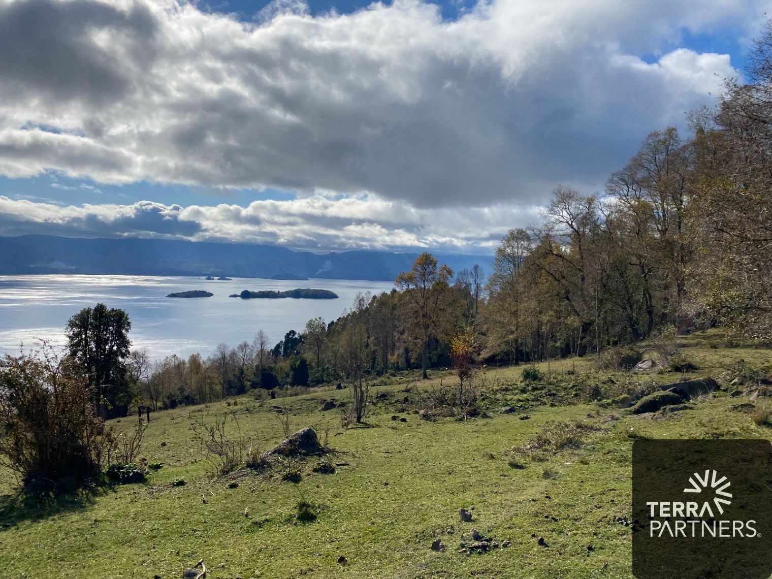 Parcela en venta en Panguipulli — foto 3
