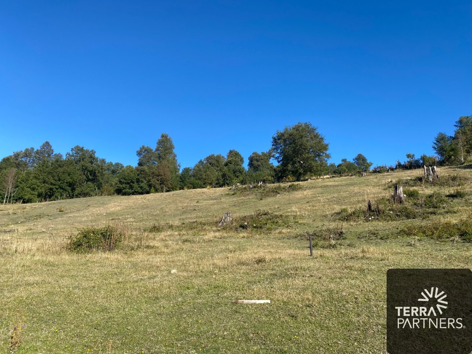 Parcela en venta en Panguipulli — foto 5