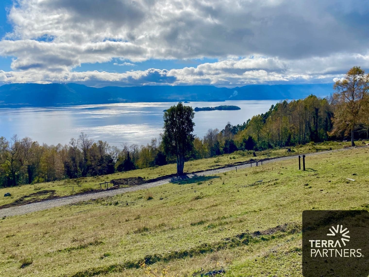 Parcela en venta en Panguipulli — foto 6