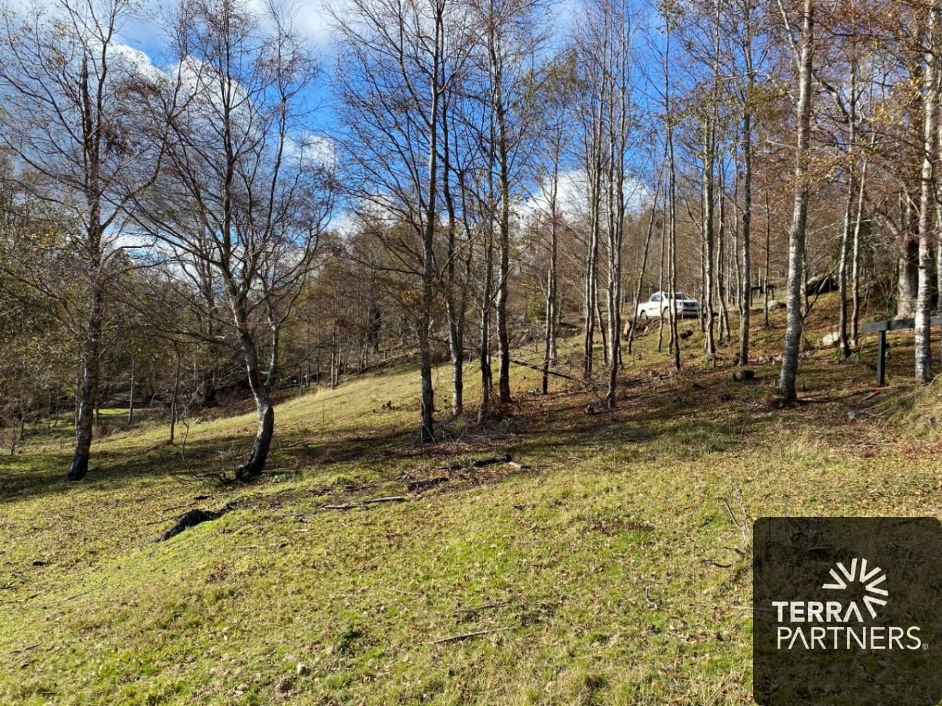 Parcela en venta en Panguipulli — foto 8