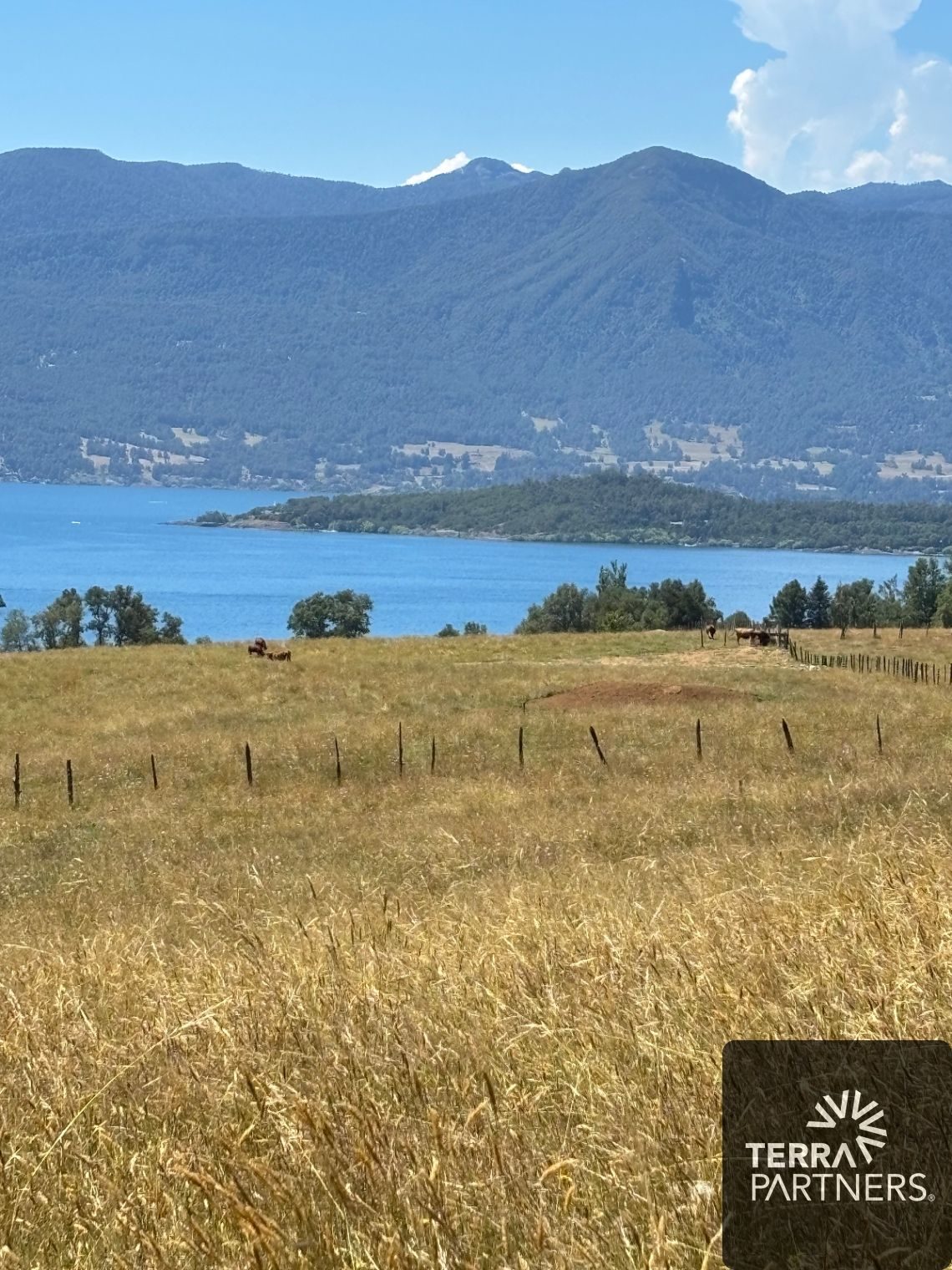 Parcela en venta en Pucón — foto 1