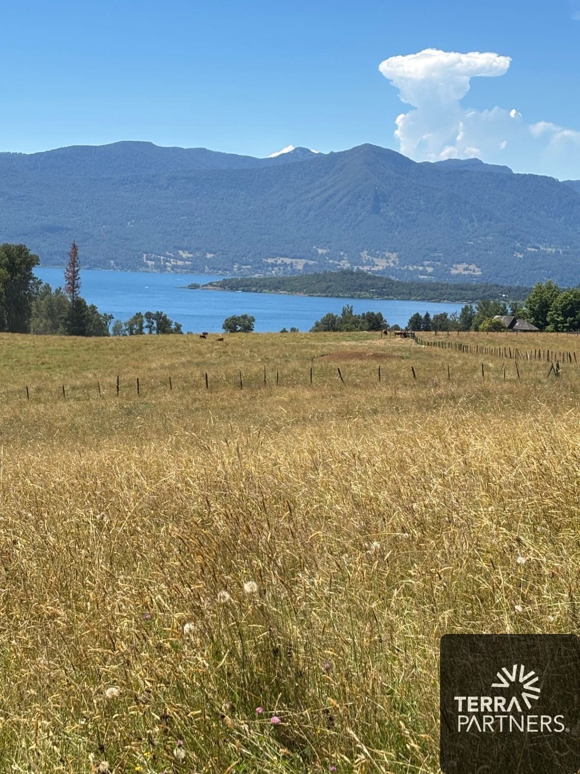 Parcela en venta en Pucón — foto 3