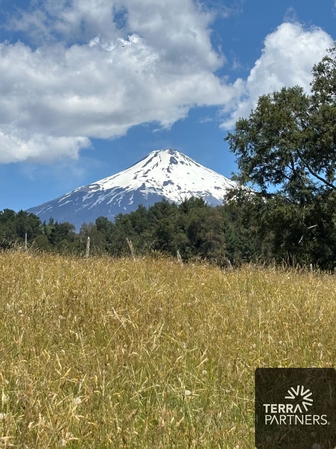 Parcela en venta en Pucón — foto 4