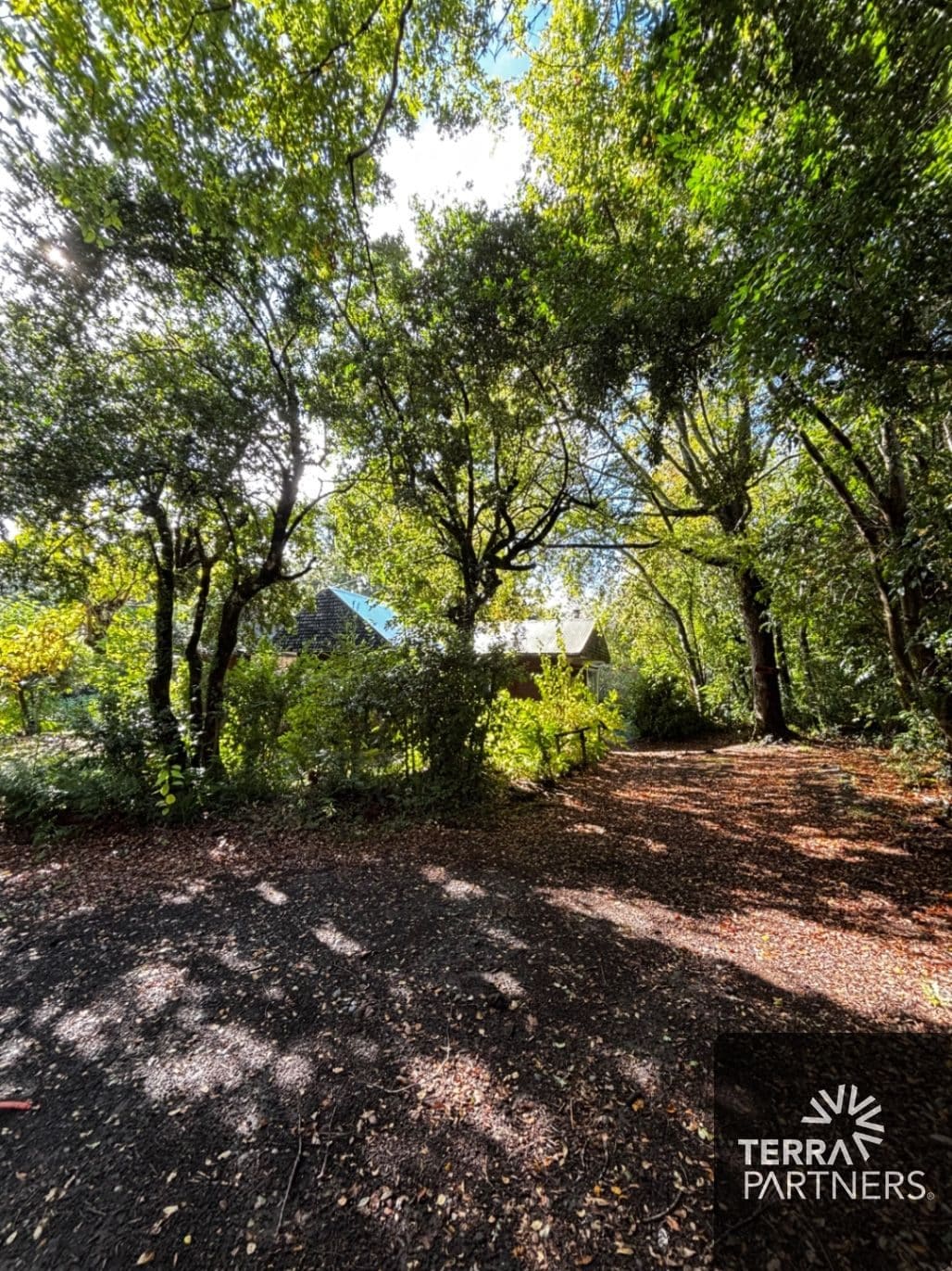 Terreno en venta en Pucón — foto 2