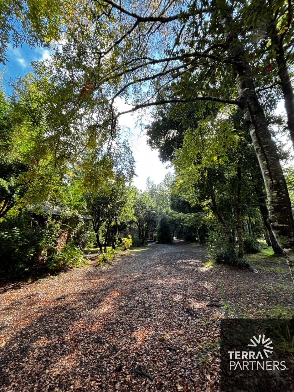 Terreno en venta en Pucón — foto 4