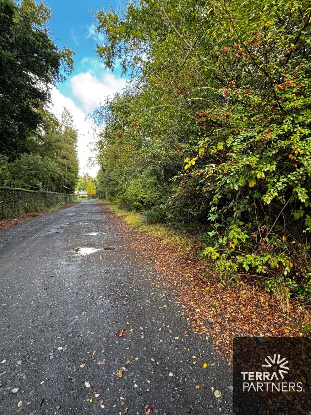 Terreno en venta en Pucón — foto 5