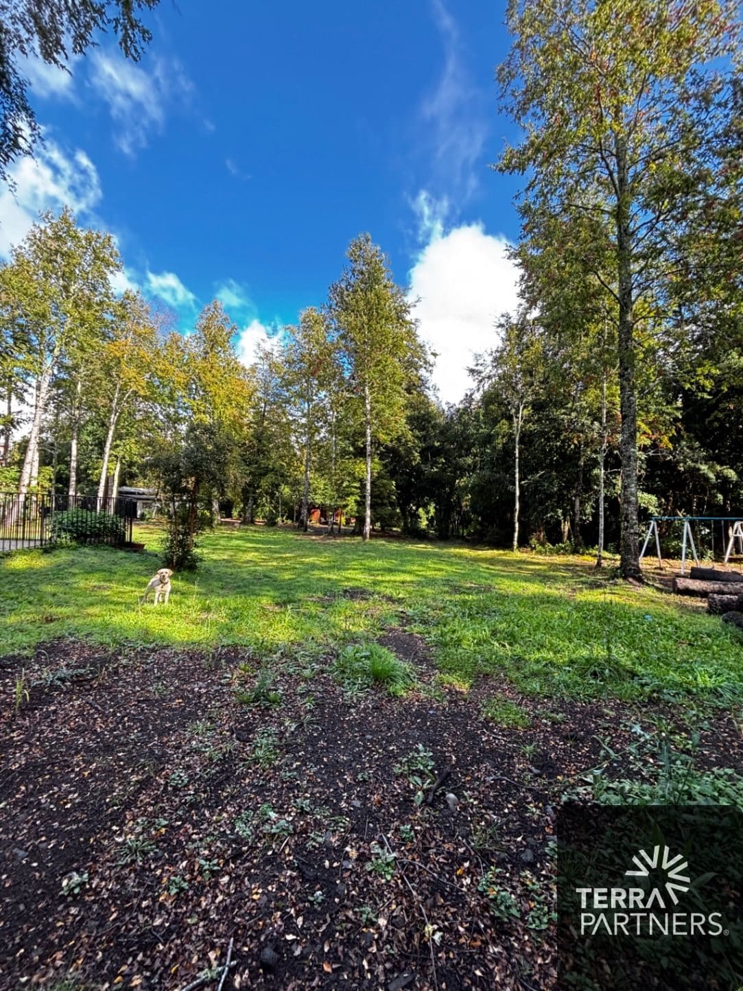 Terreno en venta en Pucón — foto 7