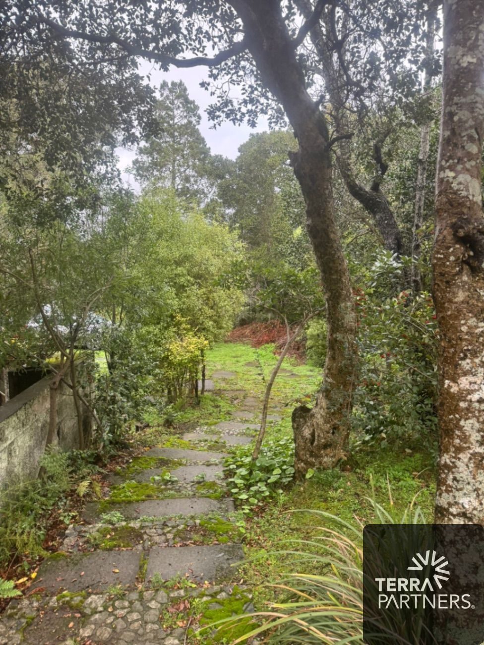 Terreno en venta en Pucón — foto 5