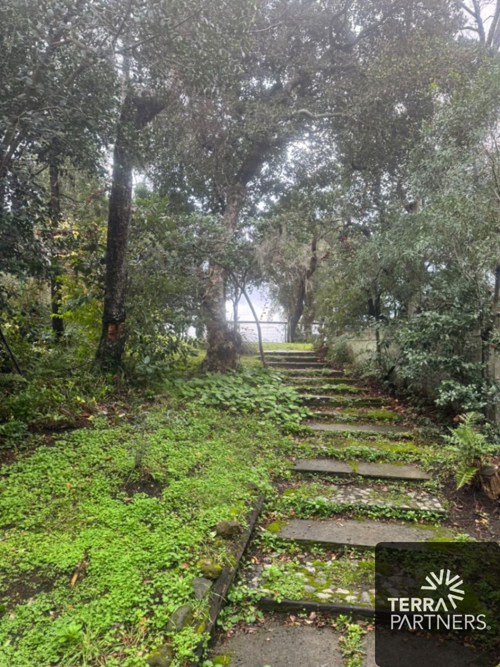 Terreno en venta en Pucón — foto 7