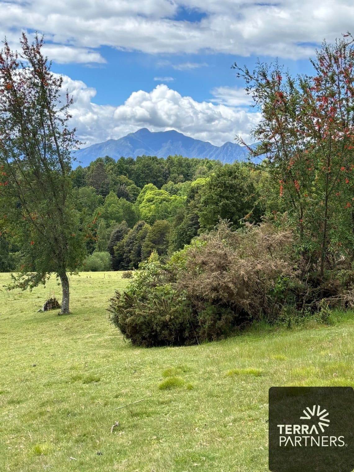 Parcela en venta en Pucón — foto 10