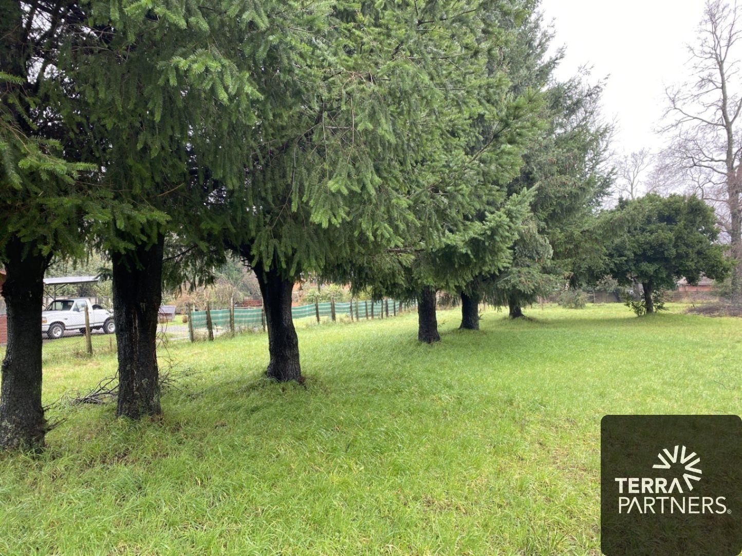 Terreno en venta en Pucón — foto 4
