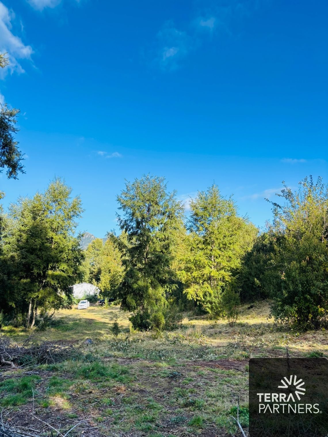 Parcela en venta en Pucón — foto 1